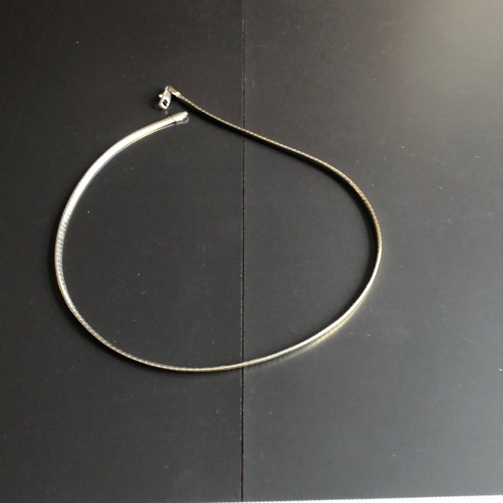 Lia Sophia reversible necklace